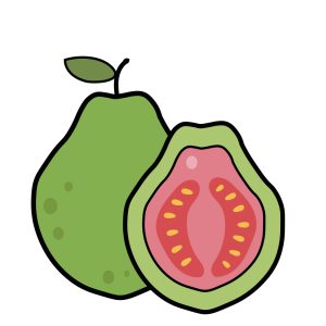 Guave-diepvries-fruit-afbeelding-1