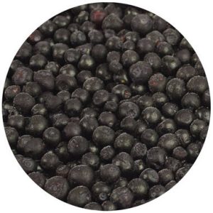Canadese wilde Bosbes (Vaccinium Angustifolium)