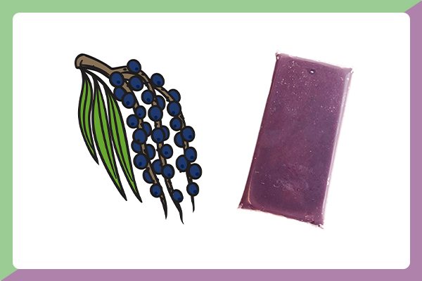 Acai-guarana-diepvries-fruit-product-afbeelding-1